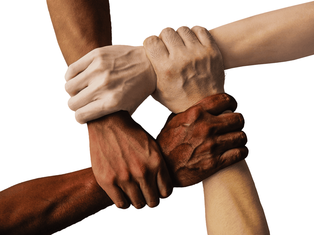 optimisez la communication et le travail d'équipe grâce à notre intranet de collaboration, conçu pour faciliter le partage d'informations et renforcer la productivité au sein de votre organisation.