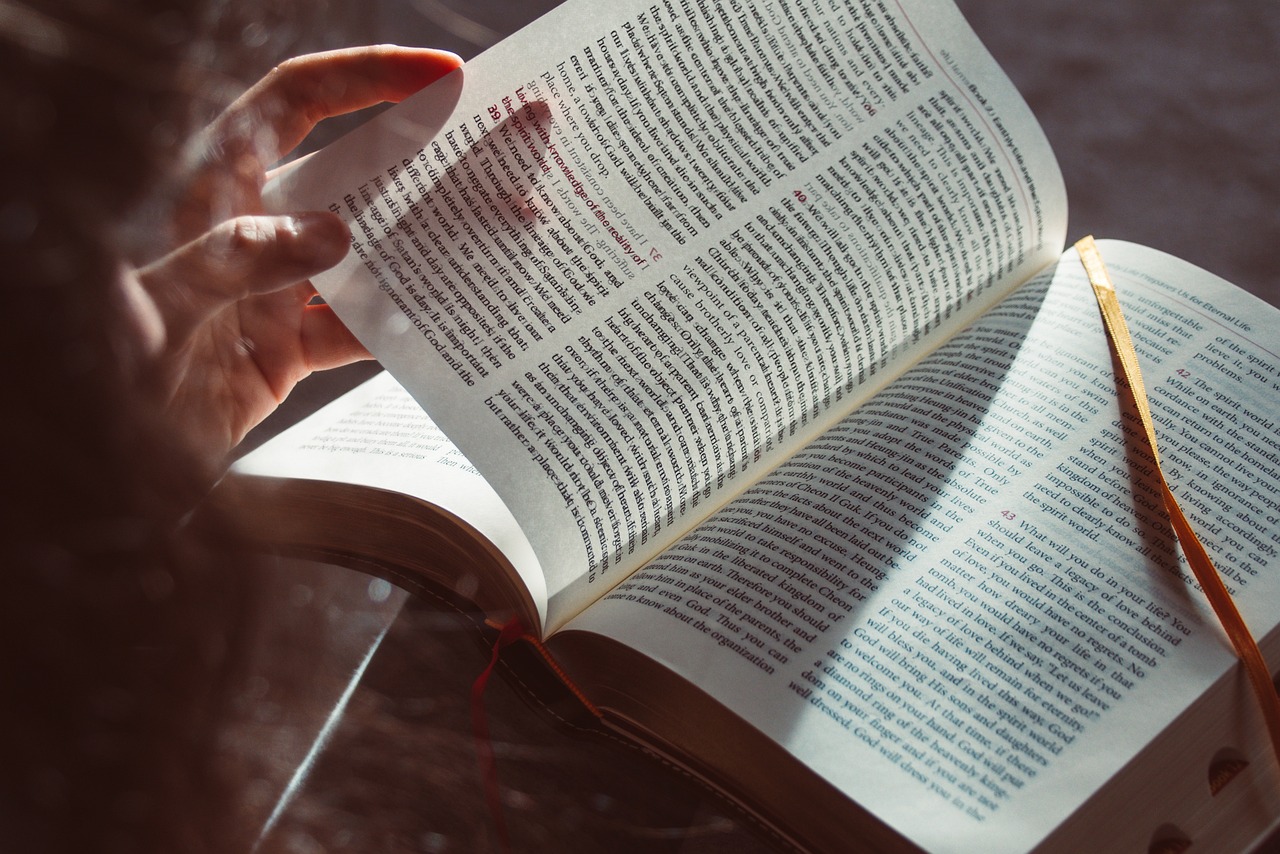 Comment les études de cas SEO peuvent transformer votre business