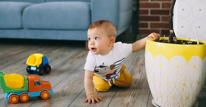 L’importance du crawl dans le SEO