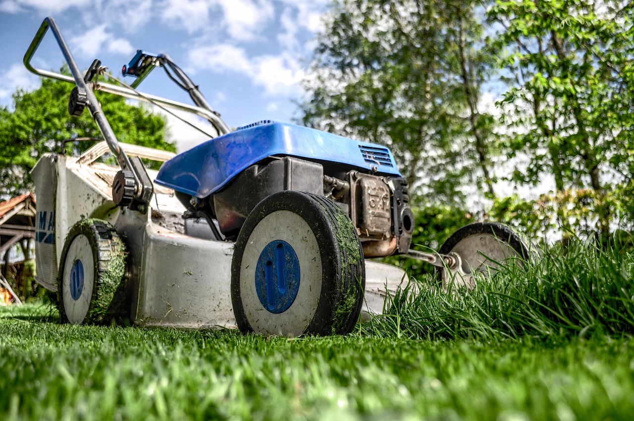 Découvrez les incontournables outils SEO à maîtriser