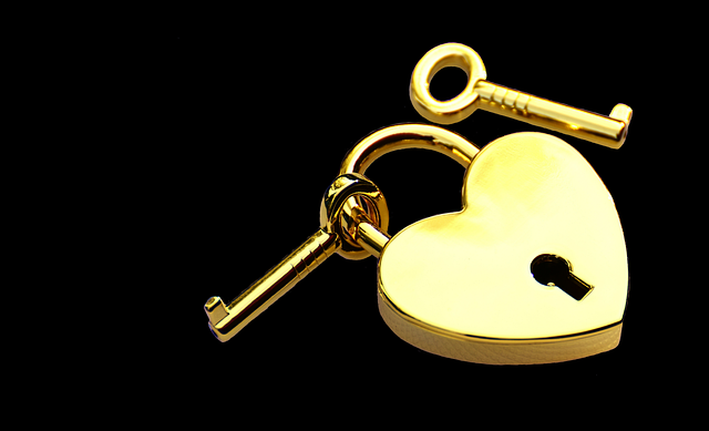 Études de cas SEO : la clé de la confiance des clients