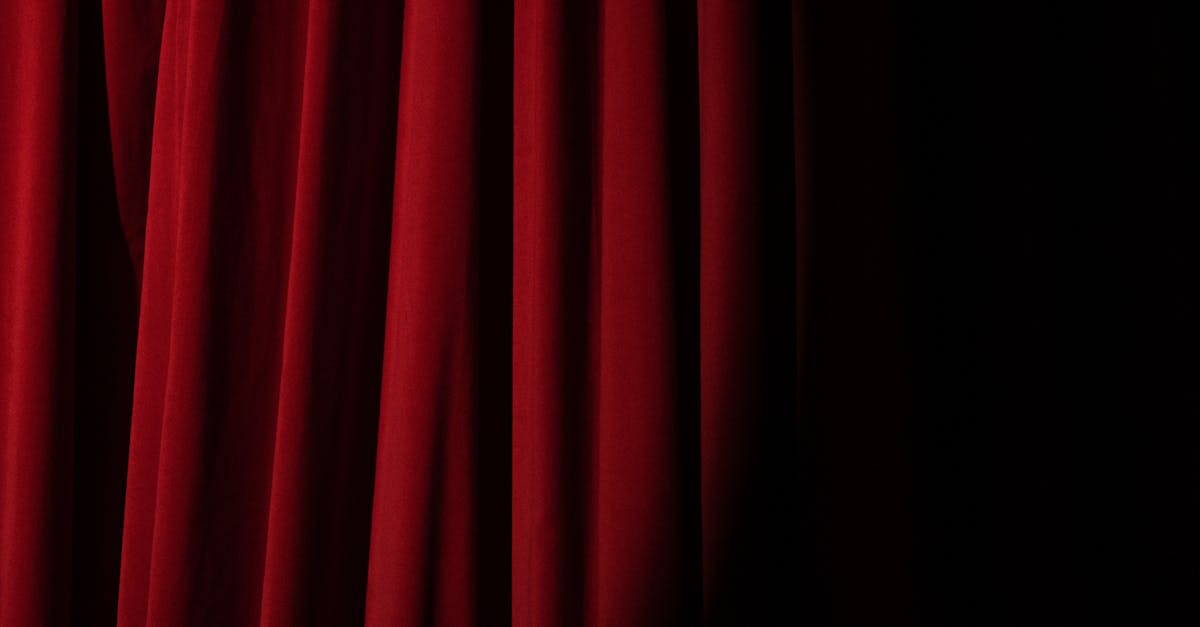 Rich snippets : comment améliorer la visibilité de vos résultats de recherche