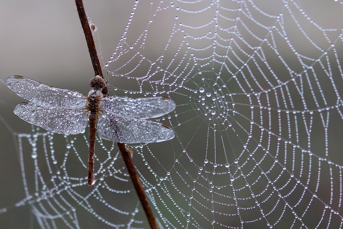 Core Web Vitals : Stratégies incontournables pour booster votre SEO en 2025