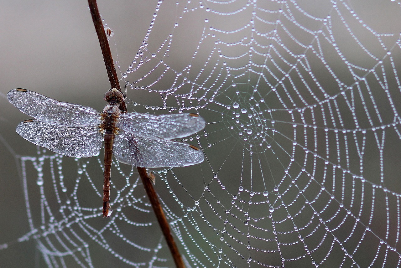 Core Web Vitals : Stratégies incontournables pour booster votre SEO en 2025