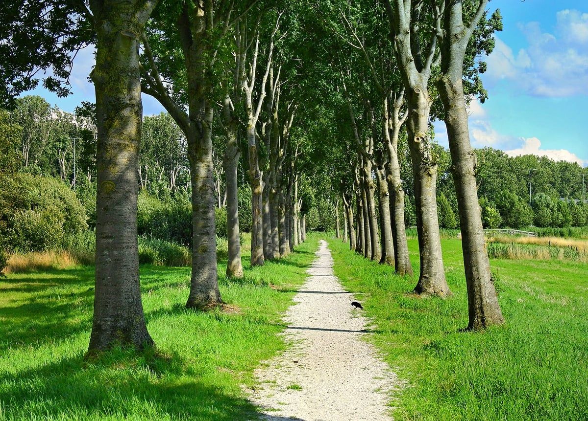 voie