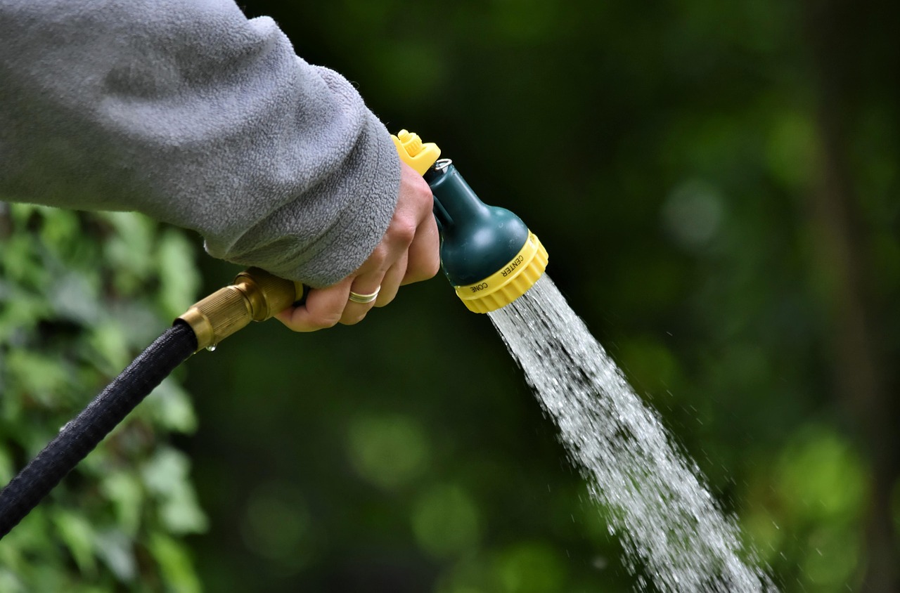 découvrez l'art du jardinage avec nos conseils et astuces pratiques pour cultiver votre propre oasis de verdure. apprenez à choisir les plantes adaptées, à entretenir votre jardin et à créer des espaces extérieurs enchanteurs.
