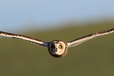 optimisez votre visibilité en ligne grâce à nos conseils et techniques seo. découvrez les meilleures pratiques pour améliorer le référencement de votre site web et attirer plus de trafic organique.