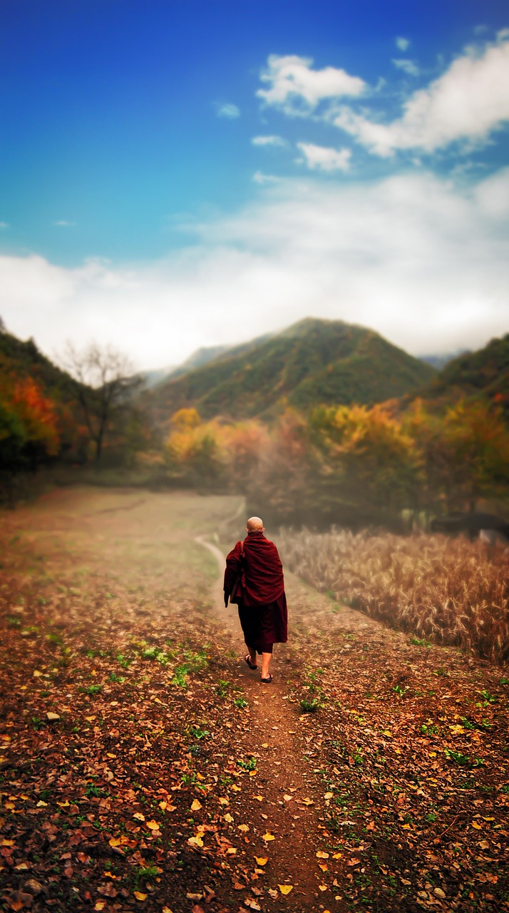 d&eacute;couvrez les meilleures sorties culturelles : expositions, mus&eacute;es, spectacles, concerts et &eacute;v&eacute;nements pour enrichir votre agenda et vivre des exp&eacute;riences inoubliables seul, en famille ou entre amis.