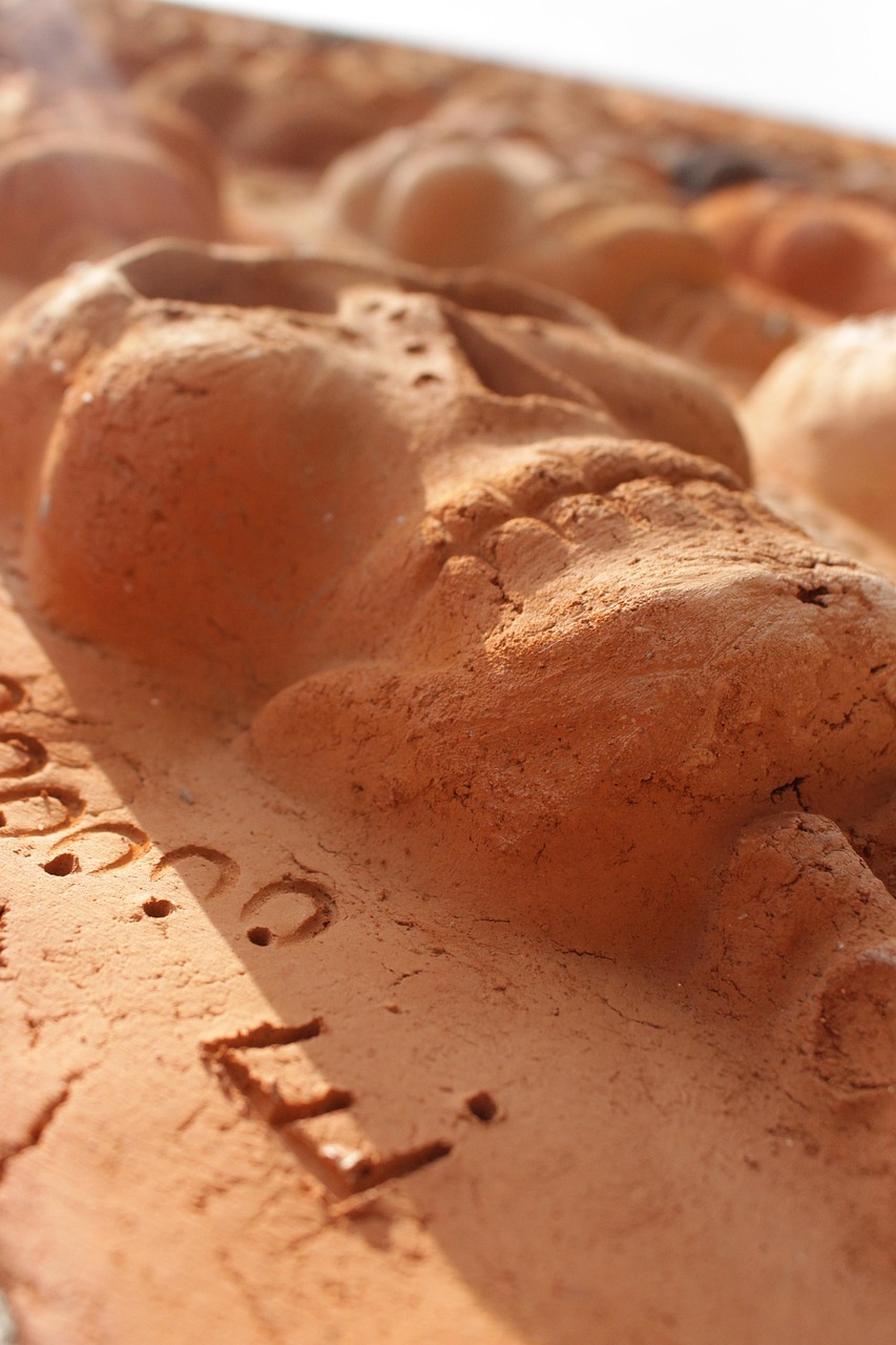 d&eacute;couvrez une s&eacute;lection d'offres culturelles vari&eacute;es : expositions, concerts, spectacles et &eacute;v&eacute;nements pour enrichir votre vie culturelle et profiter pleinement de la sc&egrave;ne artistique pr&egrave;s de chez vous.