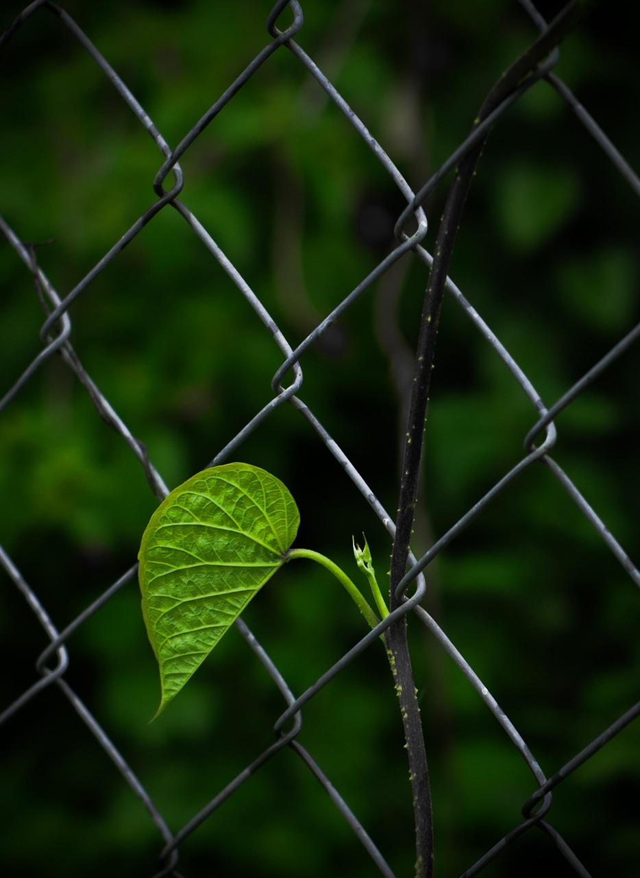 découvrez tout sur le link building : techniques, avantages et conseils pour améliorer le référencement naturel de votre site grâce à des liens de qualité. boostez votre visibilité en ligne !