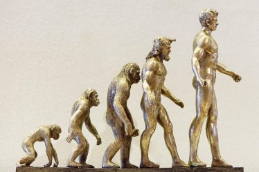 découvrez l'évolution du seo : des bases historiques aux dernières tendances et stratégies pour optimiser la visibilité de votre site sur les moteurs de recherche en 2024.