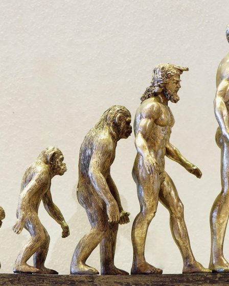 découvrez l'évolution du seo : des bases historiques aux dernières tendances et stratégies pour optimiser la visibilité de votre site sur les moteurs de recherche en 2024.