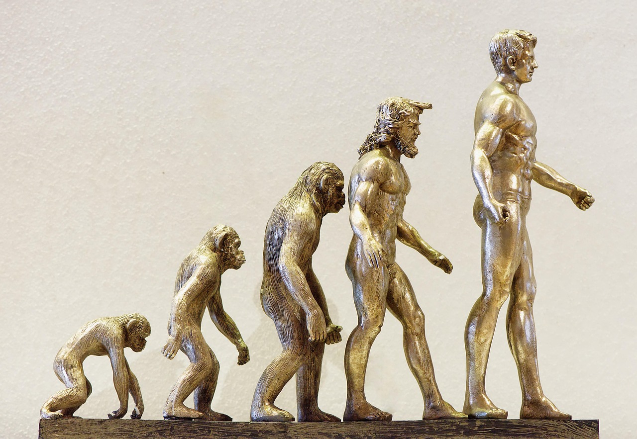 découvrez l'évolution du seo : des bases historiques aux dernières tendances et stratégies pour optimiser la visibilité de votre site sur les moteurs de recherche en 2024.