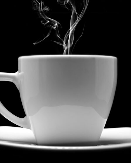 optimisez votre visibilité en ligne grâce au seo automatisé : découvrez comment l’automatisation du référencement améliore vos classements, gagne du temps et booste votre trafic web efficacement.