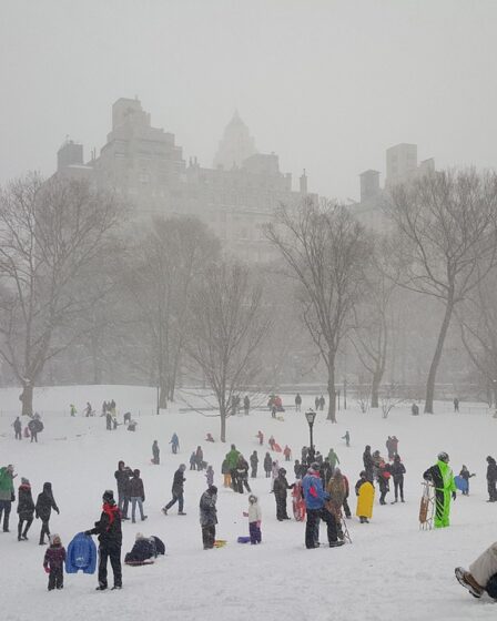 découvrez new york, la ville qui ne dort jamais : ses gratte-ciel emblématiques, central park, times square, et une culture vibrante pour un séjour inoubliable.