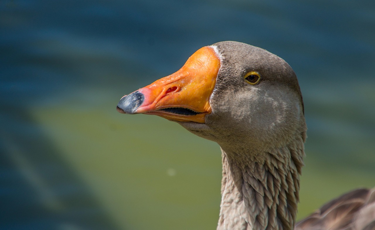 découvrez un expert seo copywriter à toulouse, spécialisé dans la rédaction de contenus optimisés pour améliorer votre visibilité en ligne et booster votre référencement naturel.