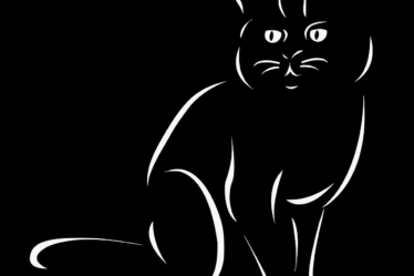 d&eacute;couvrez comment la cr&eacute;ation de valeur peut transformer votre entreprise en optimisant les ressources, am&eacute;liorant la satisfaction client et stimulant la croissance durable.