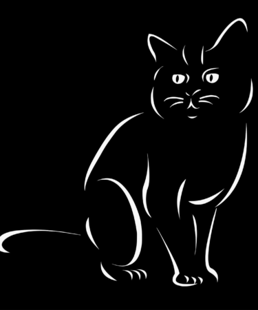 découvrez comment la création de valeur peut transformer votre entreprise en optimisant les ressources, améliorant la satisfaction client et stimulant la croissance durable.