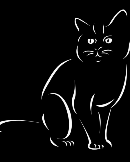 d&eacute;couvrez comment la cr&eacute;ation de valeur peut transformer votre entreprise en optimisant les ressources, am&eacute;liorant la satisfaction client et stimulant la croissance durable.