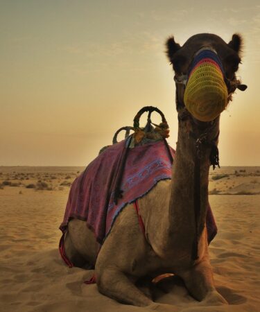 d&eacute;couvrez le concept e-e-a-t : expertise, exp&eacute;rience, autorit&eacute; et fiabilit&eacute;, essentiels pour am&eacute;liorer la qualit&eacute; et la cr&eacute;dibilit&eacute; de vos contenus en ligne.