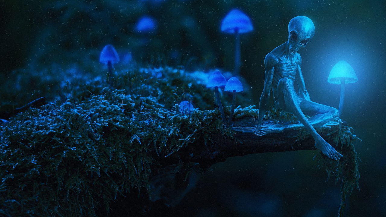 découvrez tout sur la manipulation : techniques, définitions et impacts dans divers domaines. informez-vous pour mieux comprendre et vous protéger.