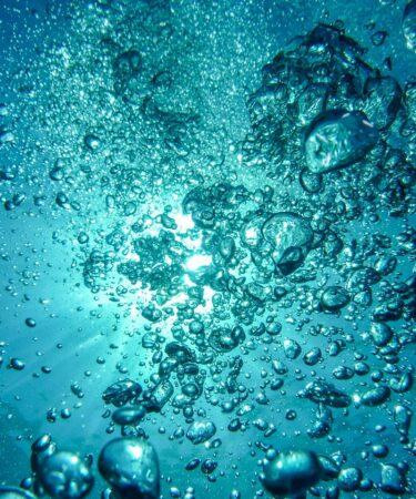 d&eacute;couvrez comment qwant int&egrave;gre la transparence dans son intelligence artificielle pour garantir confidentialit&eacute; et neutralit&eacute; dans vos recherches en ligne.