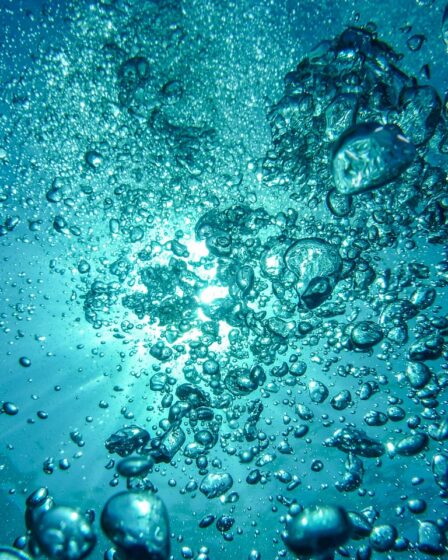 d&eacute;couvrez comment qwant int&egrave;gre la transparence dans son intelligence artificielle pour garantir confidentialit&eacute; et neutralit&eacute; dans vos recherches en ligne.