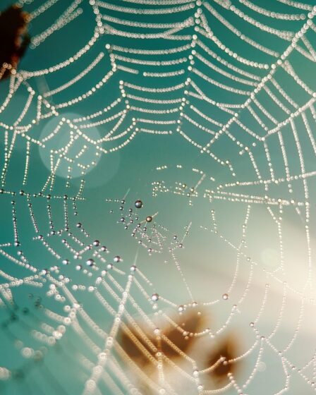 am&eacute;liorez la visibilit&eacute; de votre site web gr&acirc;ce &agrave; des strat&eacute;gies efficaces de r&eacute;f&eacute;rencement et de marketing digital.