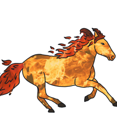 d&eacute;couvrez l'&eacute;dition d'avril 2026 avec des contenus exclusifs, tendances et nouveaut&eacute;s &agrave; ne pas manquer.