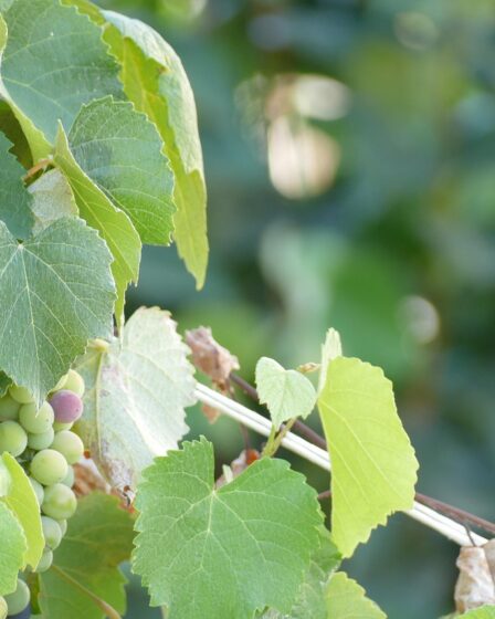 d&eacute;couvrez des strat&eacute;gies g&eacute;ographiques efficaces pour les pme du secteur informatique afin d'optimiser leur d&eacute;veloppement et leur pr&eacute;sence sur les march&eacute;s locaux et internationaux.