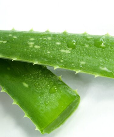 fiches produit optimis&eacute;es pour am&eacute;liorer la visibilit&eacute;, attirer les clients et augmenter les ventes gr&acirc;ce &agrave; des descriptions claires et percutantes.