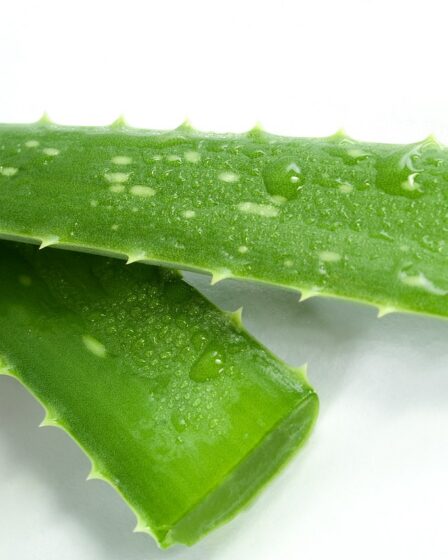 fiches produit optimis&eacute;es pour am&eacute;liorer la visibilit&eacute;, attirer les clients et augmenter les ventes gr&acirc;ce &agrave; des descriptions claires et percutantes.